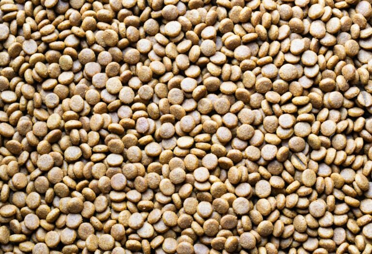 10 Best Canada Pet Care Picks