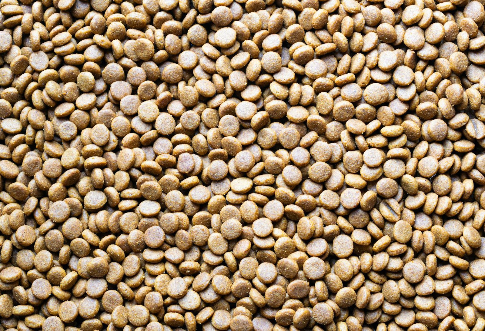 10 Best Canada Pet Care Picks