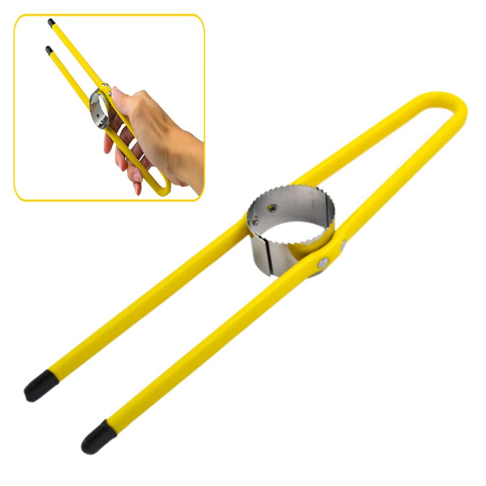 Best Kitchen Gadgets in 2026